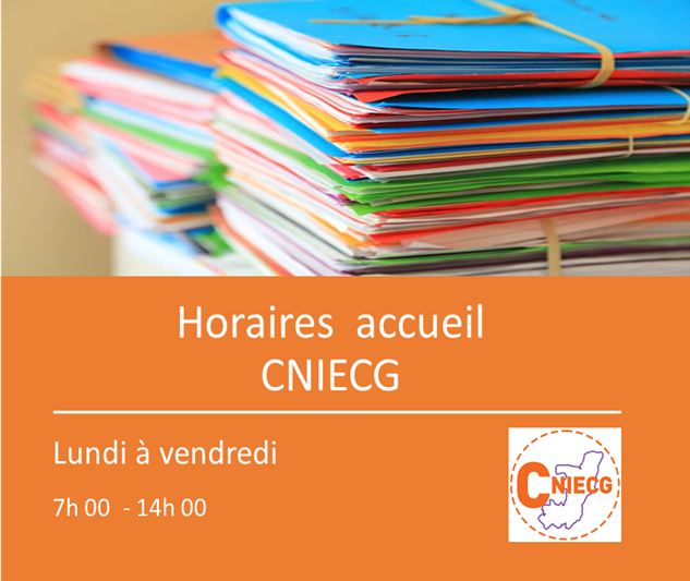 Directeur Général CNIECG